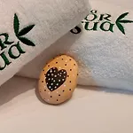 La Flor De Agua * Toriello